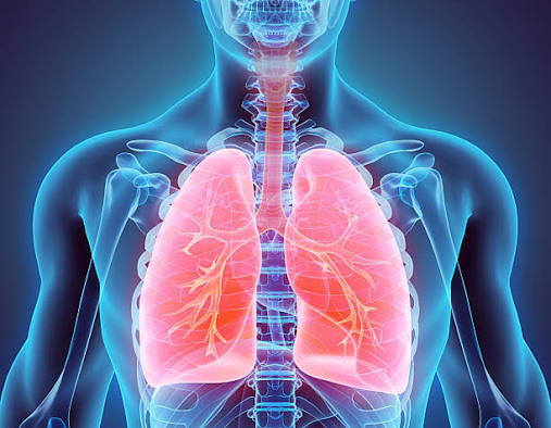 Respiratory wellness illustration